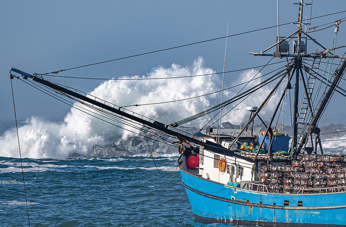 Crab Boat