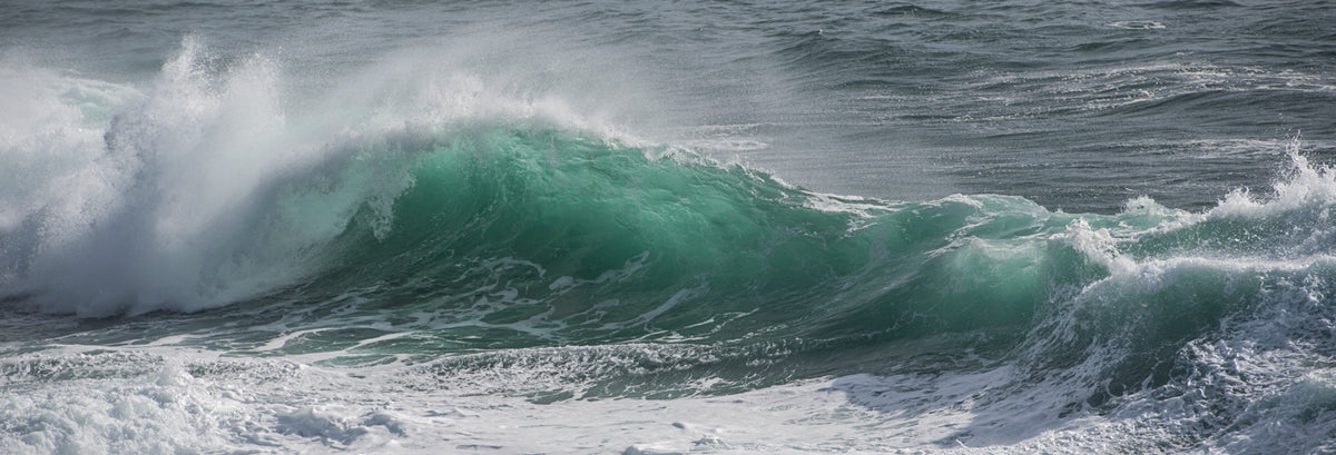 White | Depoe Bay, Oregon