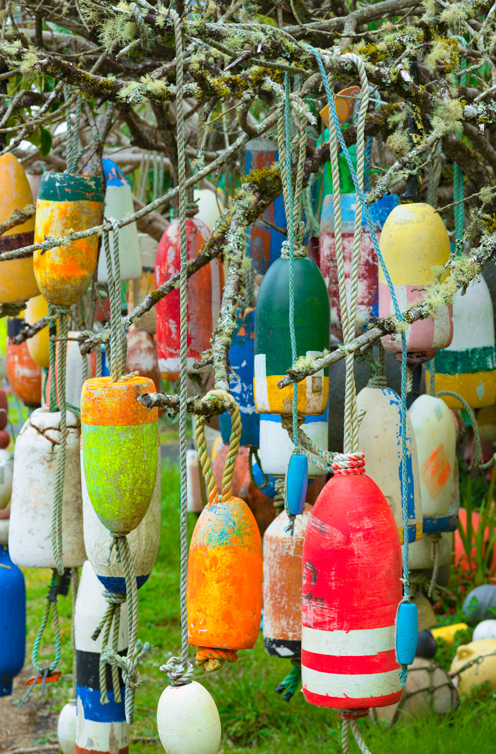 Buoy Tree