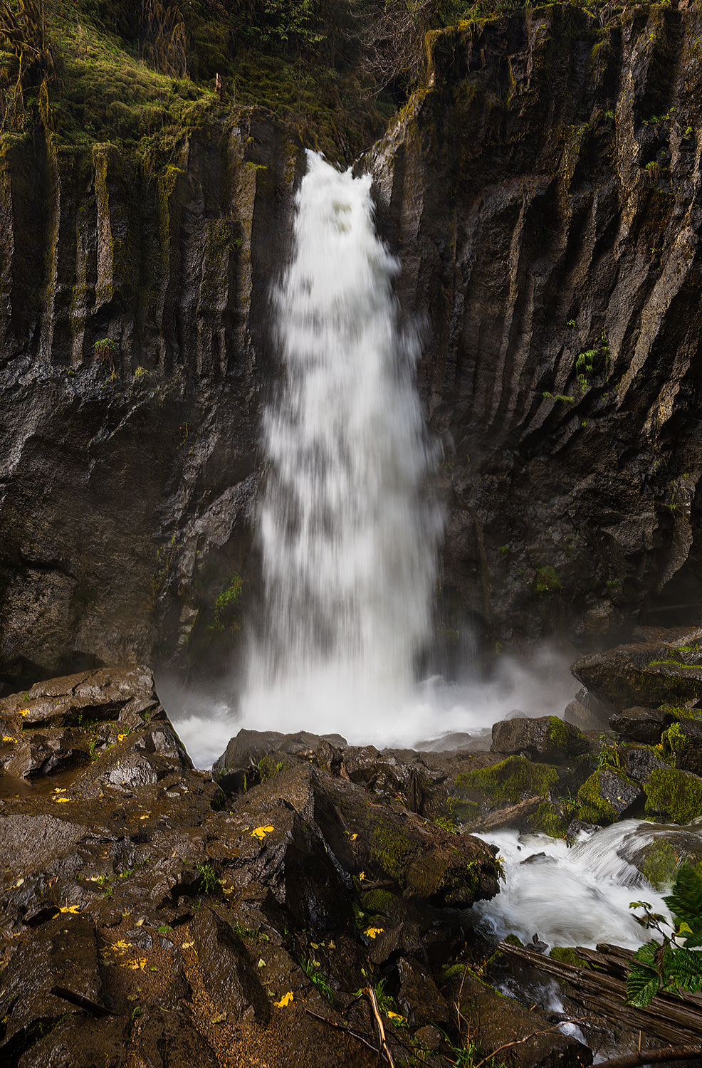Drift Creek Falls