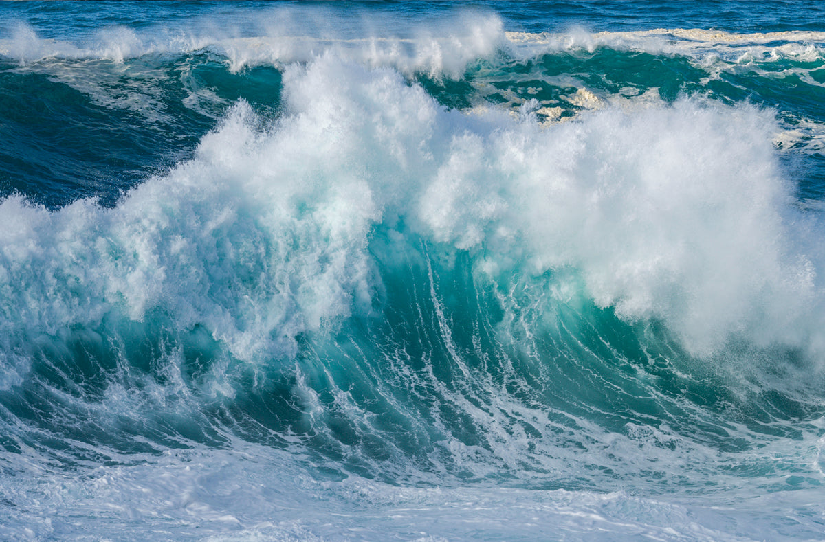 King Tide 4