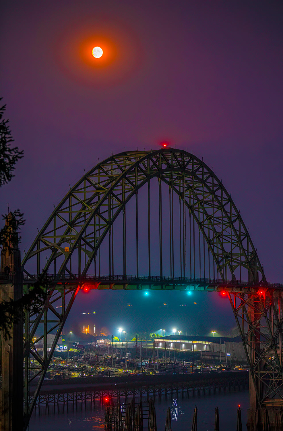 The Purple Night