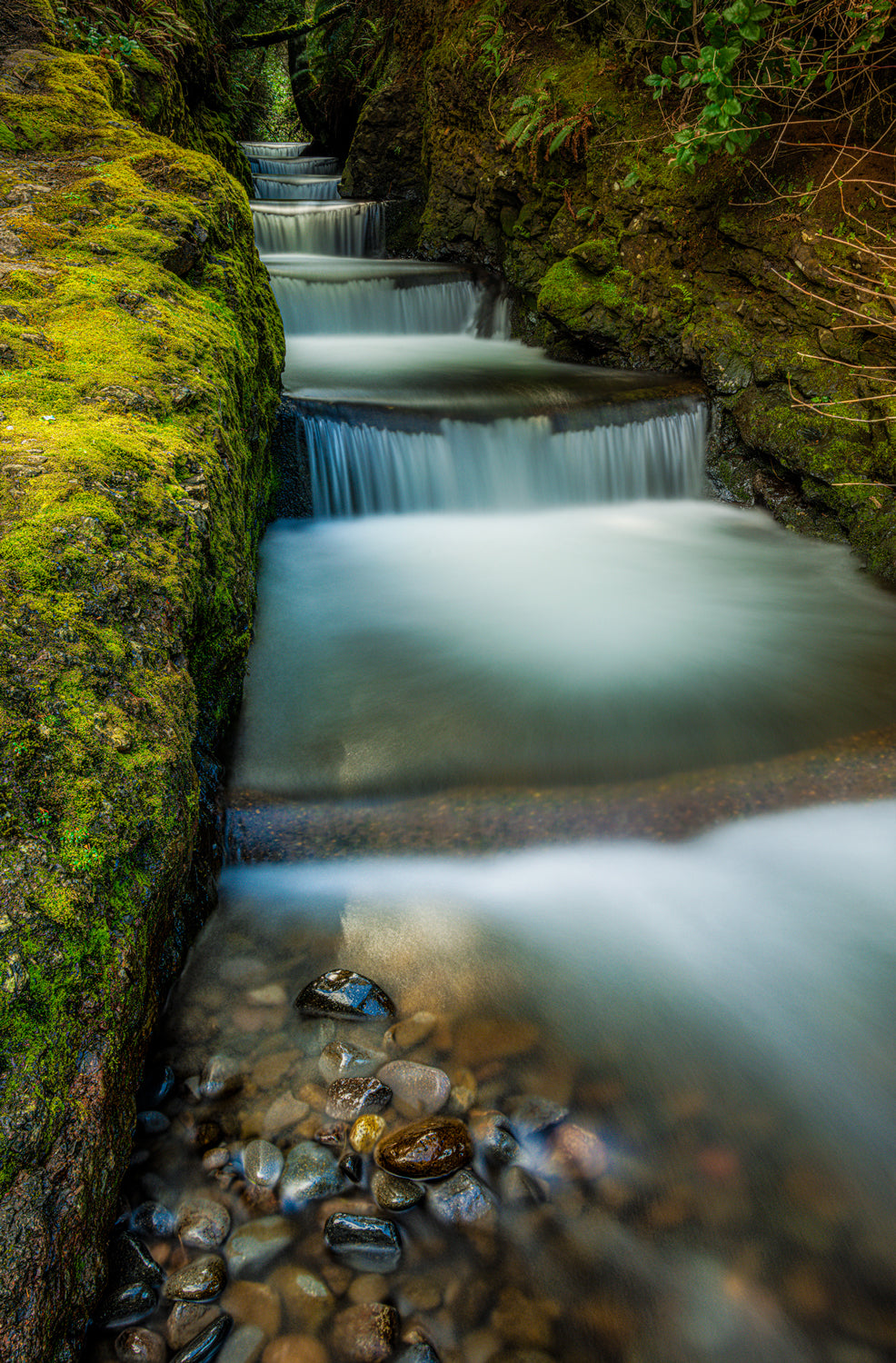 Fish Ladder