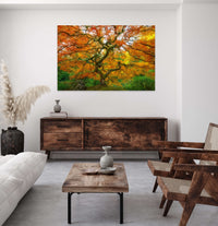 Tree of Life PNW Artist Edition shown in Living Room